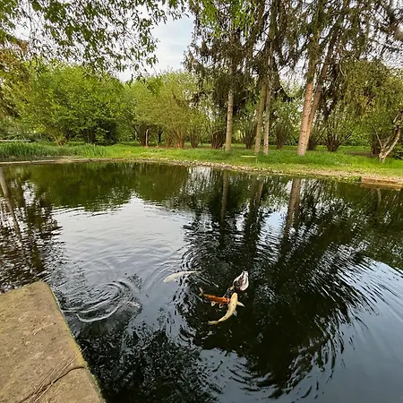 Datscha Am See Worms Buitenkant foto